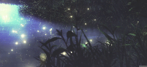 0 (5).gif