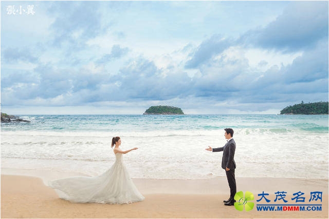 沈腾北京婚礼 刘涛黄渤现身