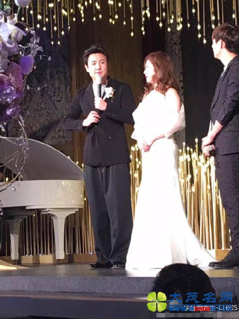 沈腾北京婚礼 刘涛黄渤现身