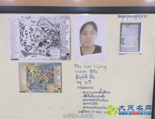 一名36岁中国女游客在泰国老虎园失踪(图)