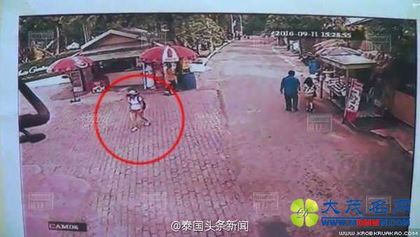 一名36岁中国女游客在泰国老虎园失踪(图)