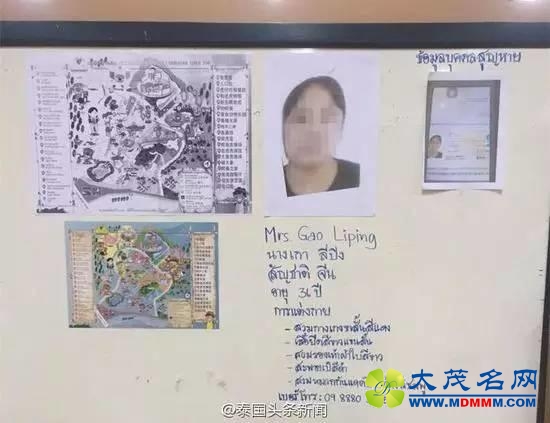 中国女游客泰国老虎园失踪2天被找到：当时她正在溪边洗衣服