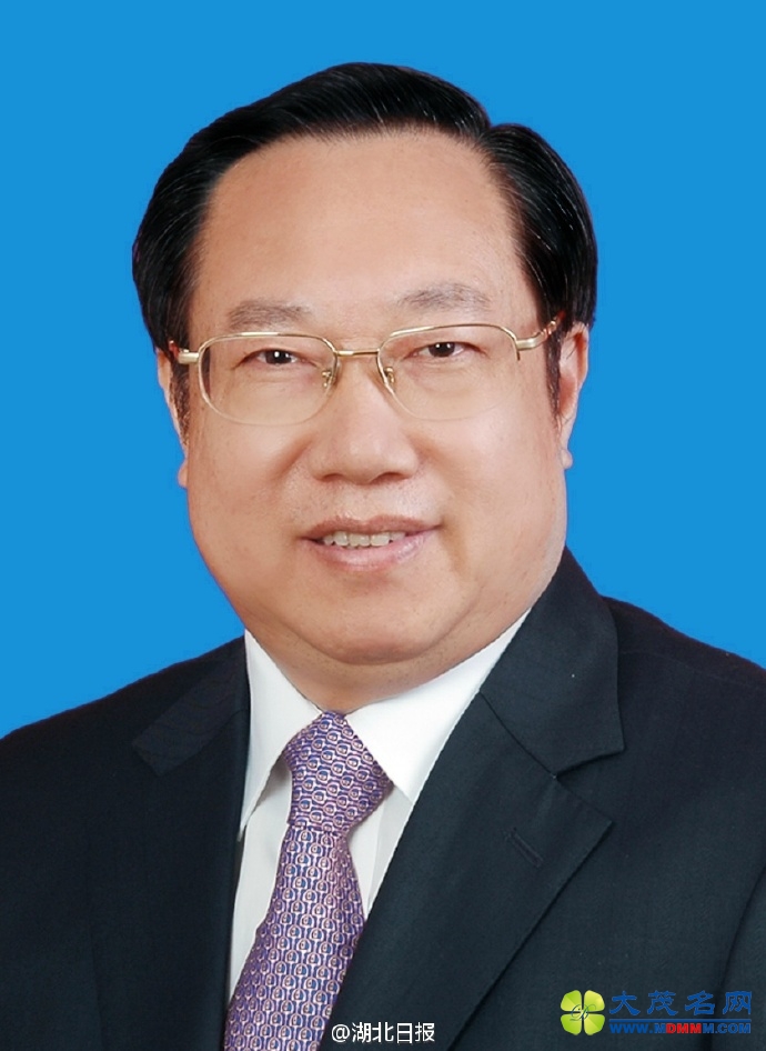 天津湖北同日补上行政一把手 湖北代省长身兼6职