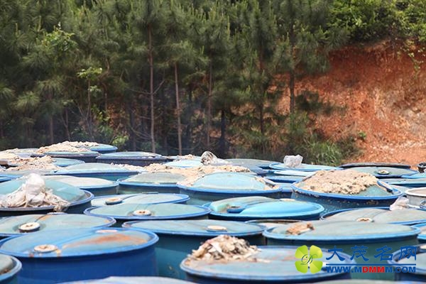 240吨危废被倾倒在湖南江西农村 14人被拘