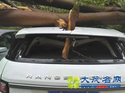 闽浙地区遭遇“双风共舞” 铁皮屋顶被直接掀翻