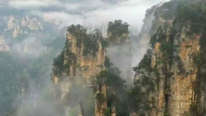 QQ图片20160711121417.jpg