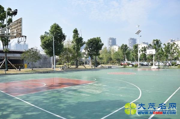 长沙百家机关单位拆围对外开放 市民称如同仙境