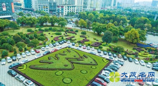 长沙百家机关单位拆围对外开放 市民称如同仙境