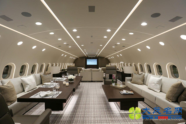 全球首架787梦想商务机抵港，开启艺术航空时代