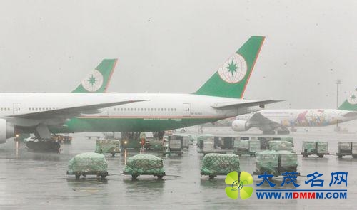 台风天仍坚持起降航班 长荣空姐批“并非荣耀”