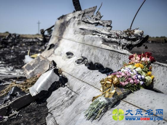 MH17׹ֱָ˹ ƫ