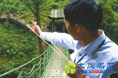 “猴倌” 人手一把弹弓站桥头 用心管猴小心迎客