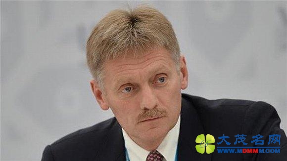 ýָ˹MH17ı澿ʲô