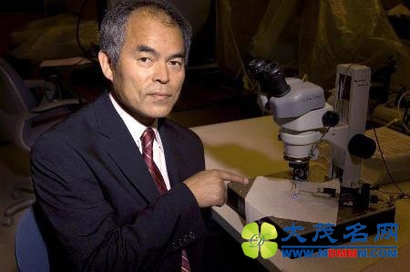 日本那些任性的诺贝尔奖得主