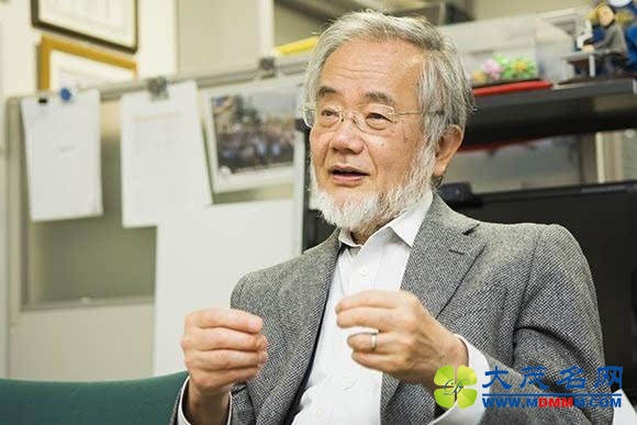 日本那些任性的诺贝尔奖得主