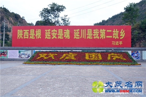 梁家河村村委会院落。余清楚 摄