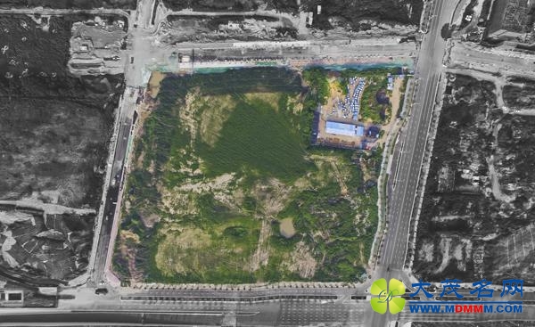 郑州房价涨幅全国居首：9个月连出10个“地王”