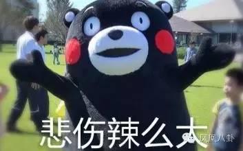 ܲסжΪϷɷˡ챾