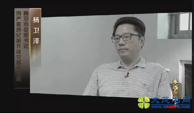 杨卫泽：别人请吃饭不喝酒不好意思 后来就爱上茅台了