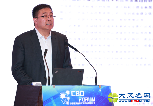 图4:工信部电子标准院院长赵波