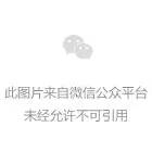23岁奥运五金王退役了，她后背的膏药像打满补丁