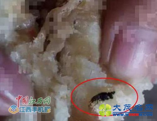 食堂吃出苍蝇蟑螂 江西类似问题今年已有近50起