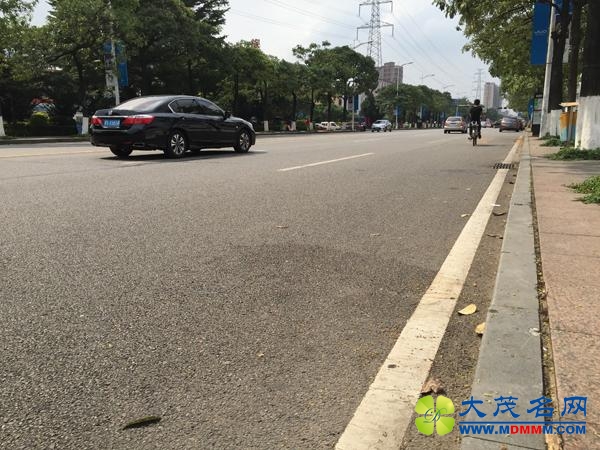 东莞男子追砸运钞车被击毙：目击者称死者曾被剐蹭