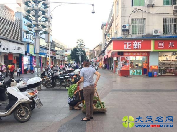 “教师买菜被通报”续：直工委领导怕骂不敢看电脑
