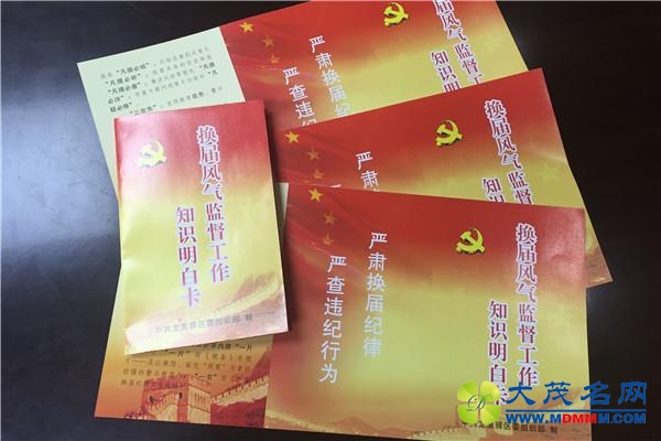 中央派组督察15省份换届风气 严禁拉票贿选