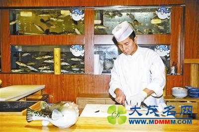 食用河豚26年后正式“解禁” 首批开放2个品种