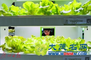 ƻῪ ·