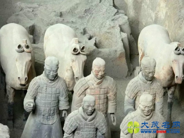 考古最新发现：秦始皇陵里竟然有个“动物世界”