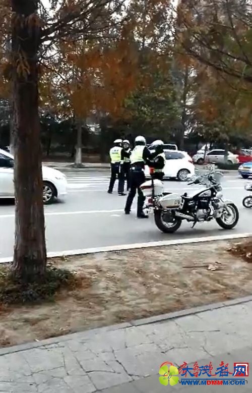 山东临沂两名交通辅警当街互殴 当事人已被辞退