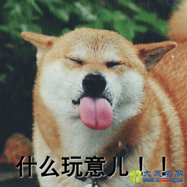 ߼ڣ˫˫ ˹տȺ