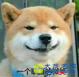高级黑：风尘四侠蜜月期结束 戈登才是最粗大腿