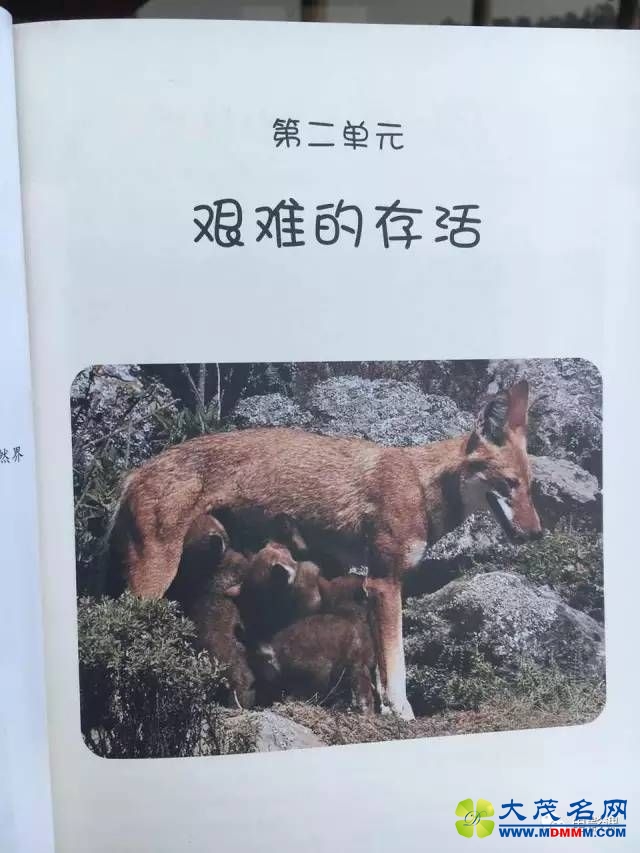СѧعѧαʦϱࡶĻУѧ
