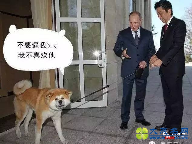 Ҳ㡰ƻվЦ