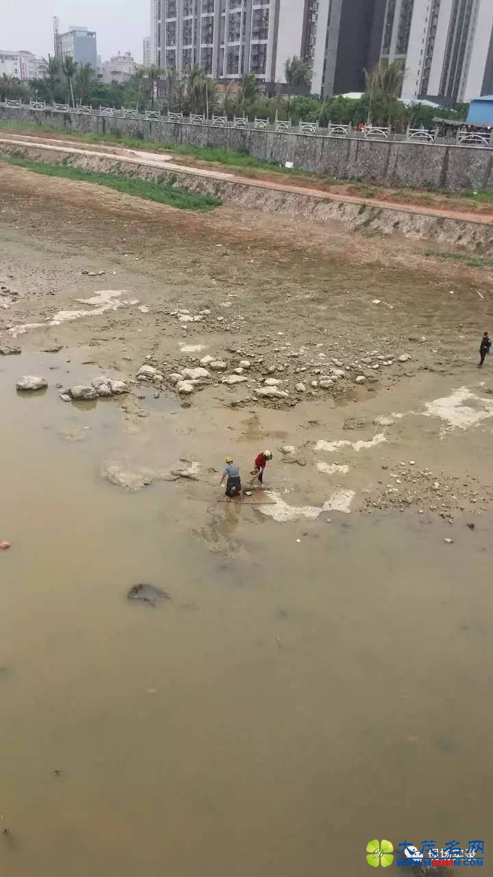 1482675767999500.jpeg