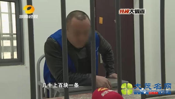 ϲ8ֶ⣺ɱ 綾Ͽ
