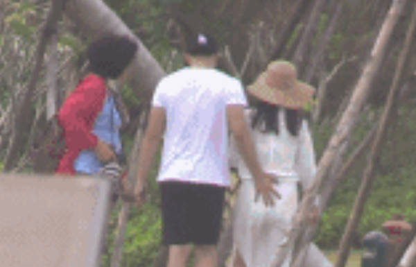 李冰冰被拍与男友十指相扣 男方被曝是投资公司高管