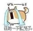 ϷAngelababy续·2017˸ͷ