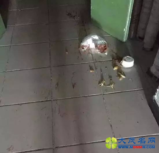 ŮͶͲԱٵ ַ˱ڼſ