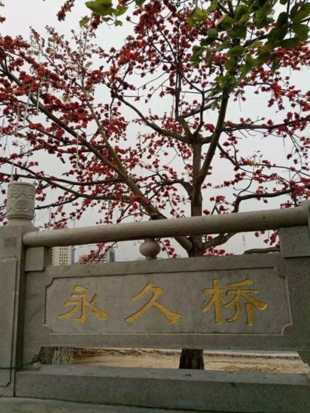 jiangbing2__.jpg