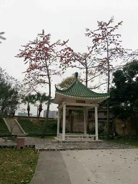 jiangbing1__.jpg