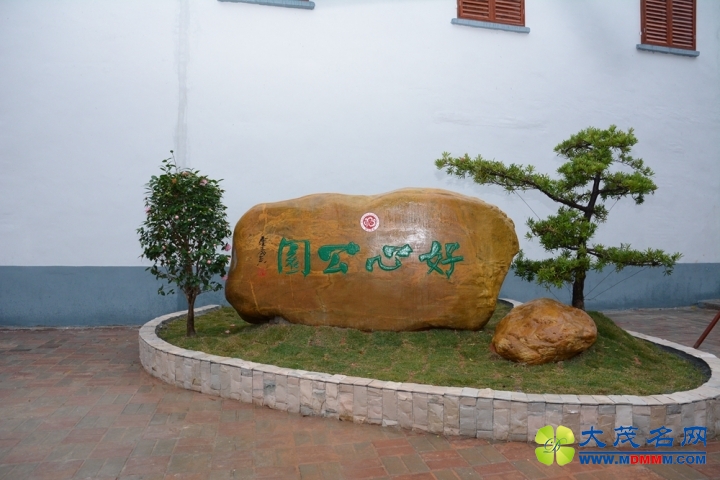 FOC_0222.jpg