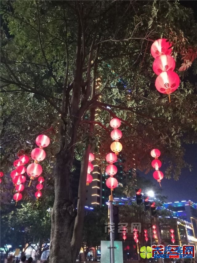 1519627533900.jpg