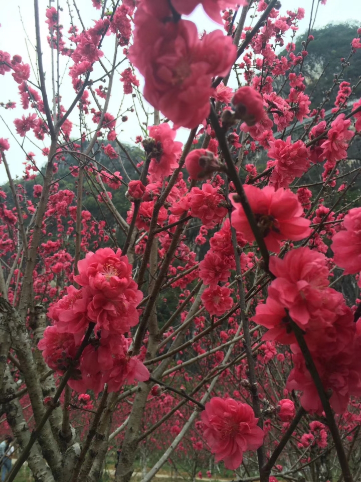 ΢ͼƬ_20180305222946.jpg