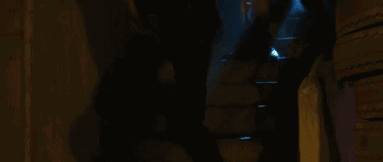 640 (2).gif