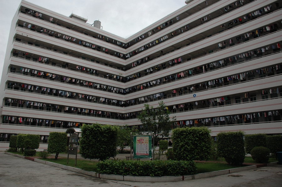 DSC_6627.jpg