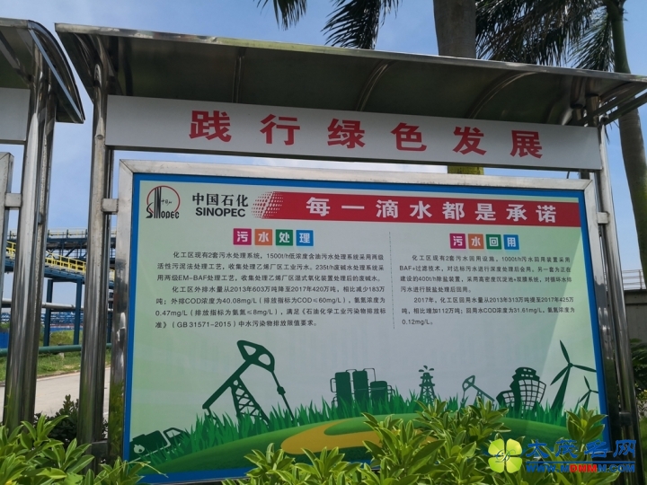 IMG_20180809_110129.jpg